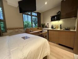 Mount Elizabeth Link (D9), Apartment #466088971